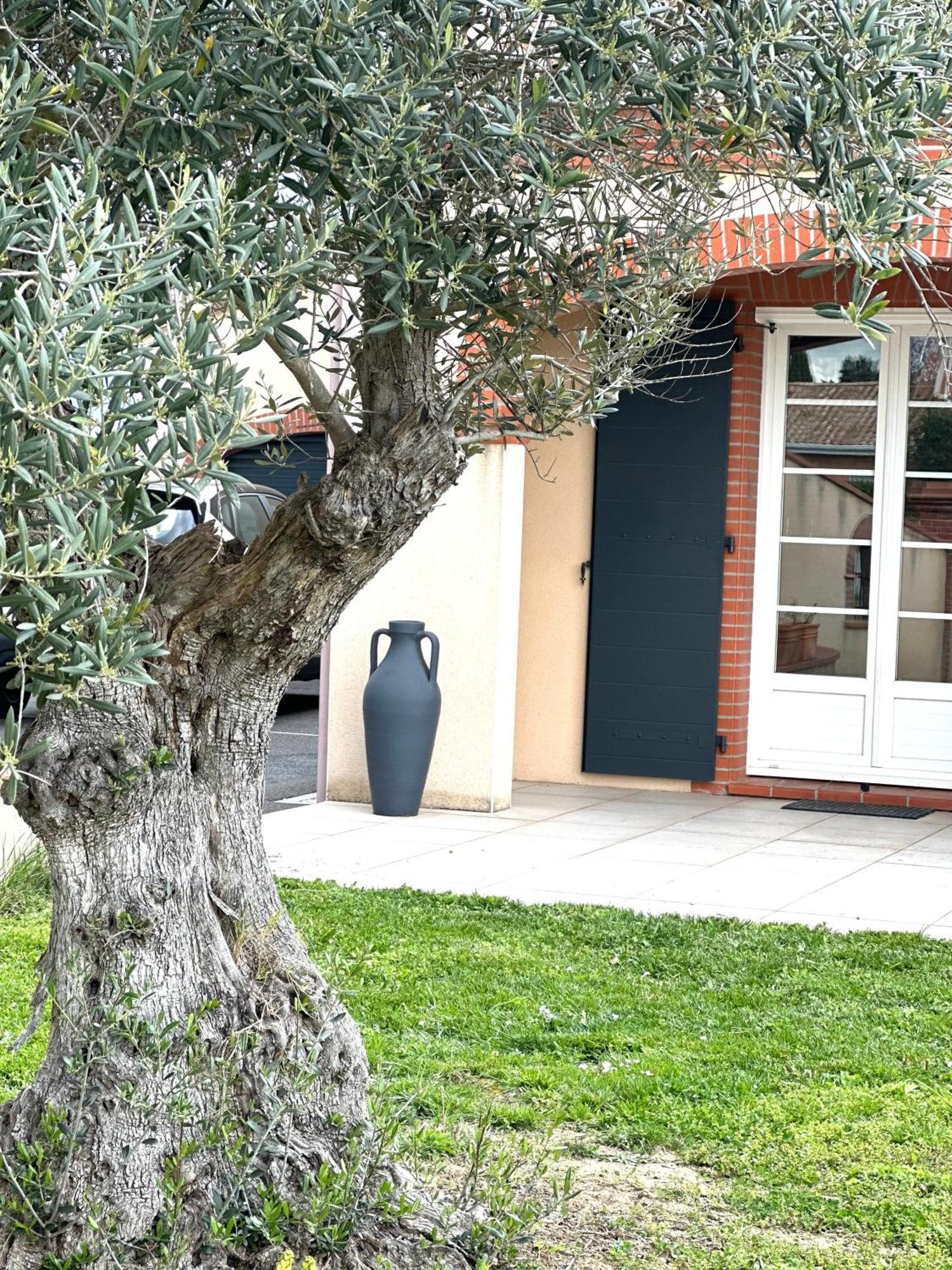 Maison D'Hotes Chic A Beauzelle المظهر الخارجي الصورة